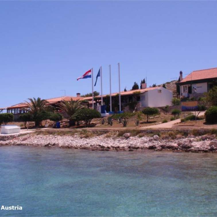 ACI-Marina Piskera